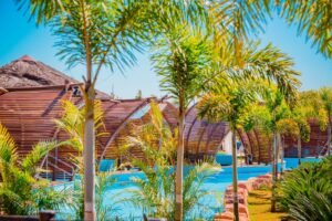 WhatsApp Image 2023-05-24 at 14.31.18