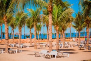 WhatsApp Image 2023-05-24 at 14.31.36