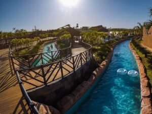 WhatsApp Image 2023-05-24 at 14.31.41