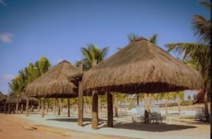 WhatsApp Image 2023-05-24 at 14.31.52