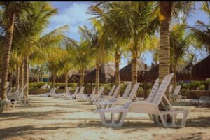 WhatsApp Image 2023-05-24 at 14.31.53